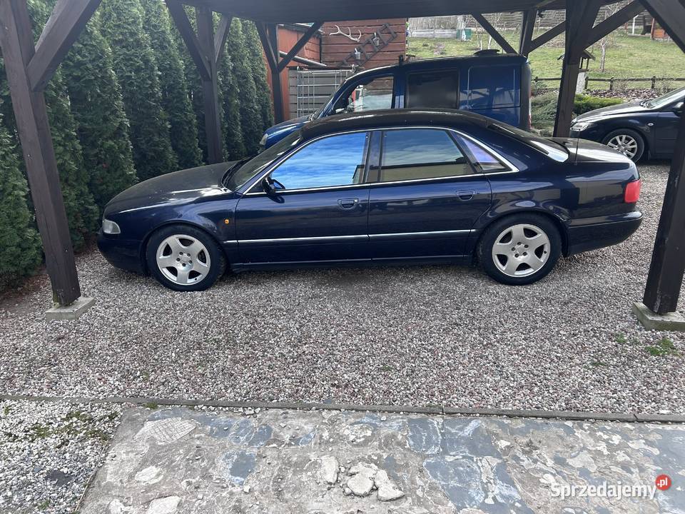 Audi a8 d2 37 V8 A8 Toruń