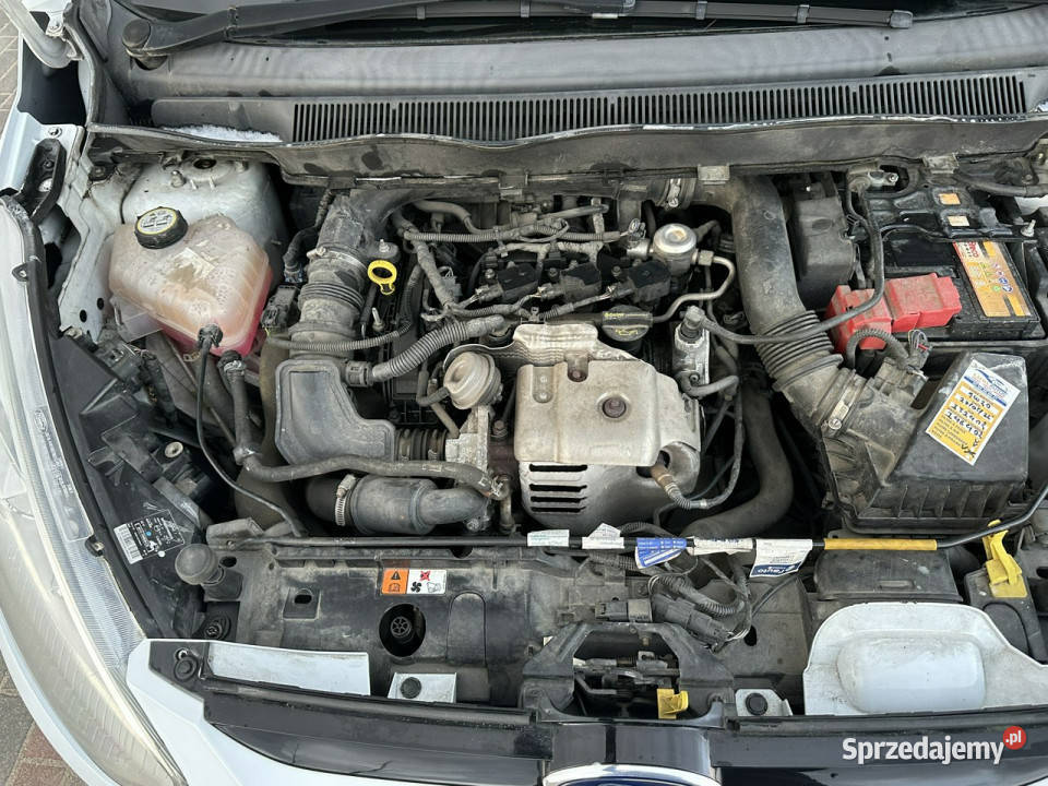 Ford B Titanium benz klimatronik czujniki 8 B-MAX Wejherowo