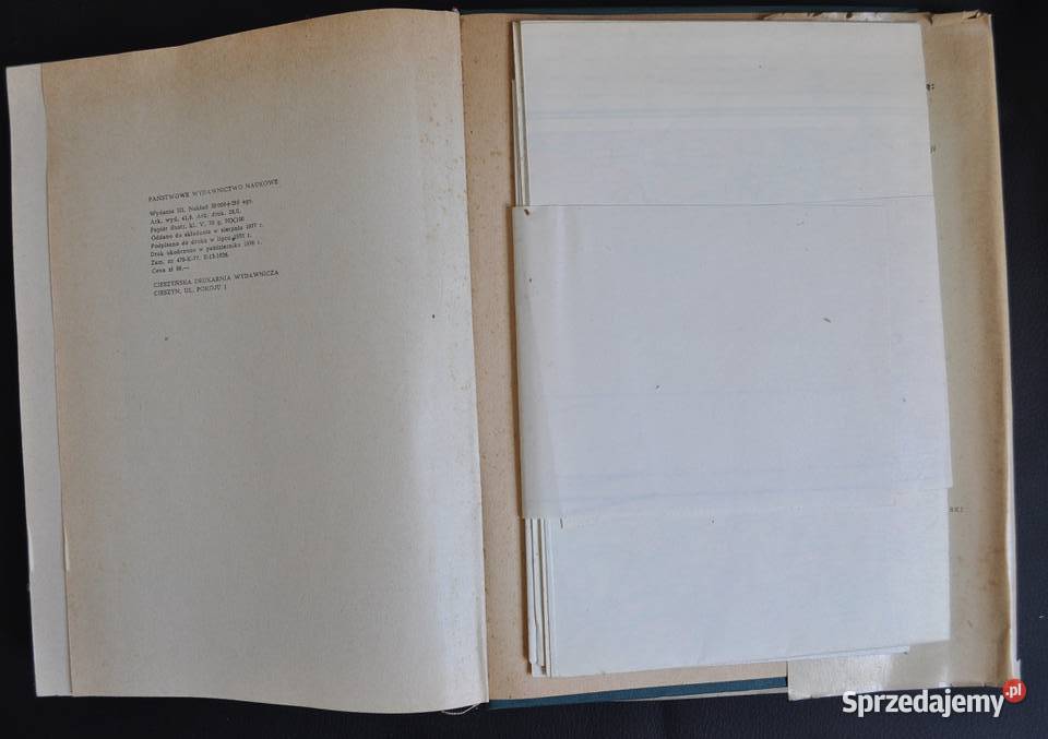 Geografia fizyczna Polski Kondracki Jerzy Warszawa