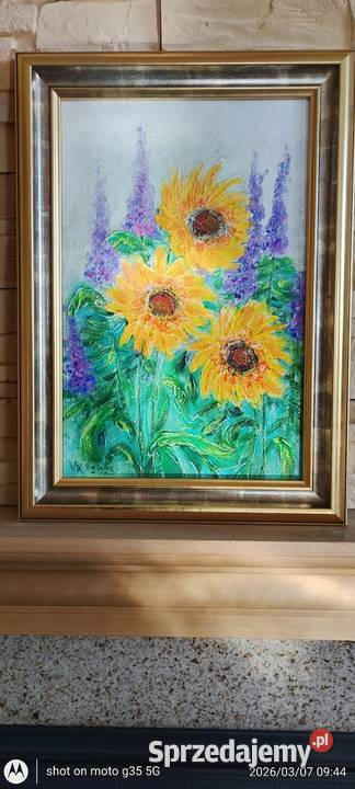Słoneczniki Bychawka Trzecia sprzedam