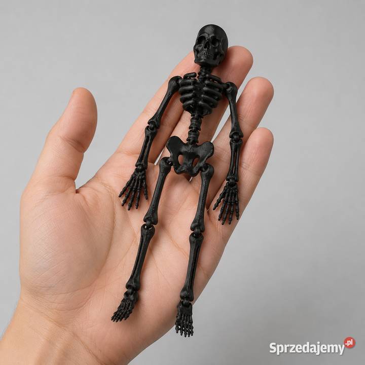 Ruchomy szkielet FLEXI 3D figurka dekoracyjna łódzkie Sieradz