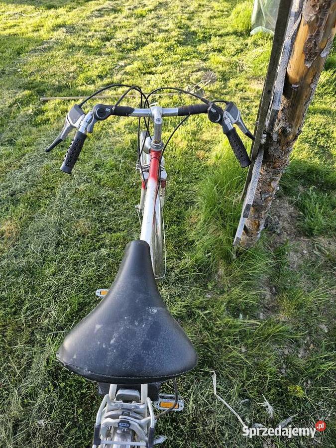 Rower Alpina klasyczny rower miejski trekkingowy Pyzówka
