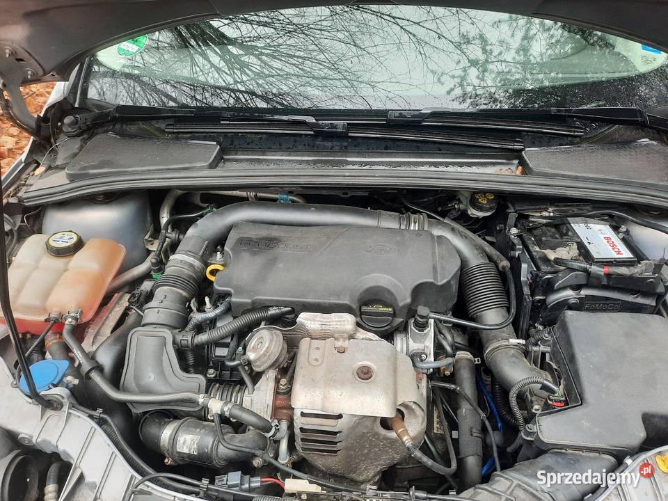 Ford Focus Dębno