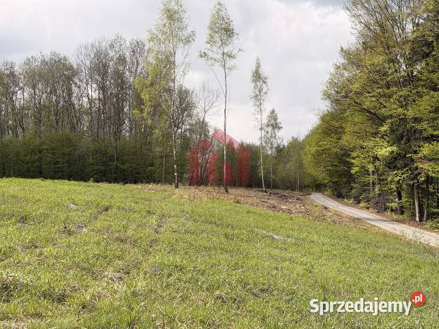 Działka 600m2 Zagórze