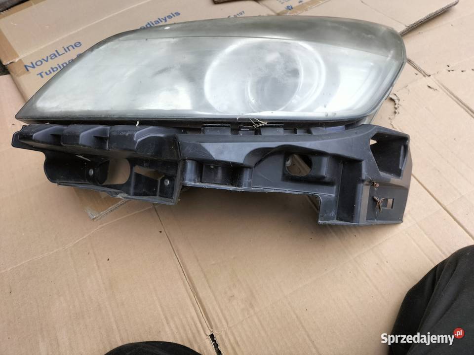 RENAULT SCENIC 2 II LIFT LAMPA PRZÓD PRZEDNIA Kamień-Kolonia sprzedam