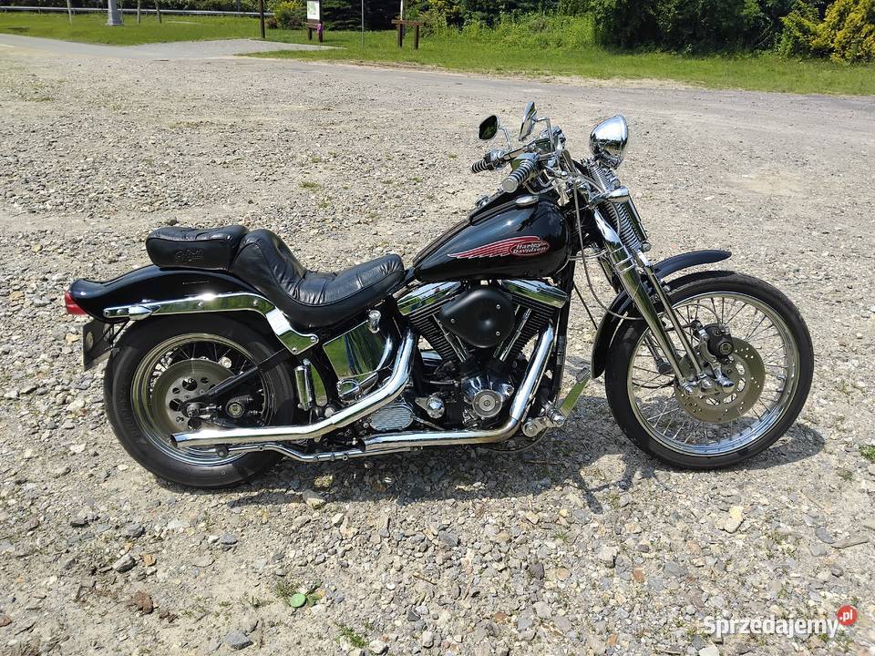 Harley Davidson Springer podkarpackie Jarosław