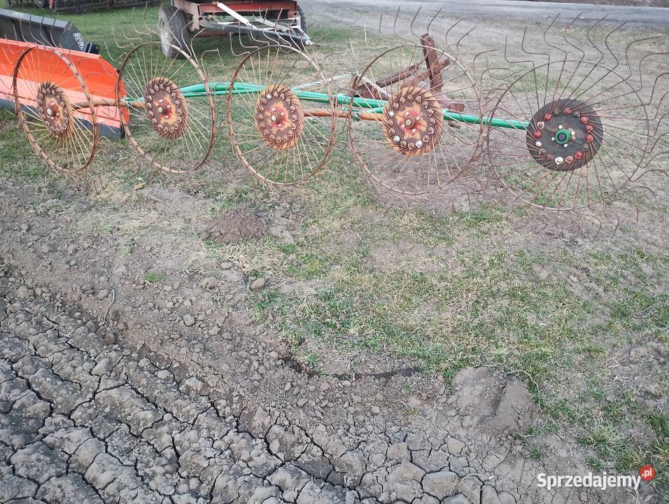 Zgrabiarka 5 gwiazdowa do siana fasoli Telatyn