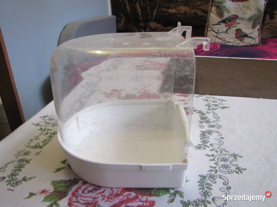 Basen ptaków Toruń