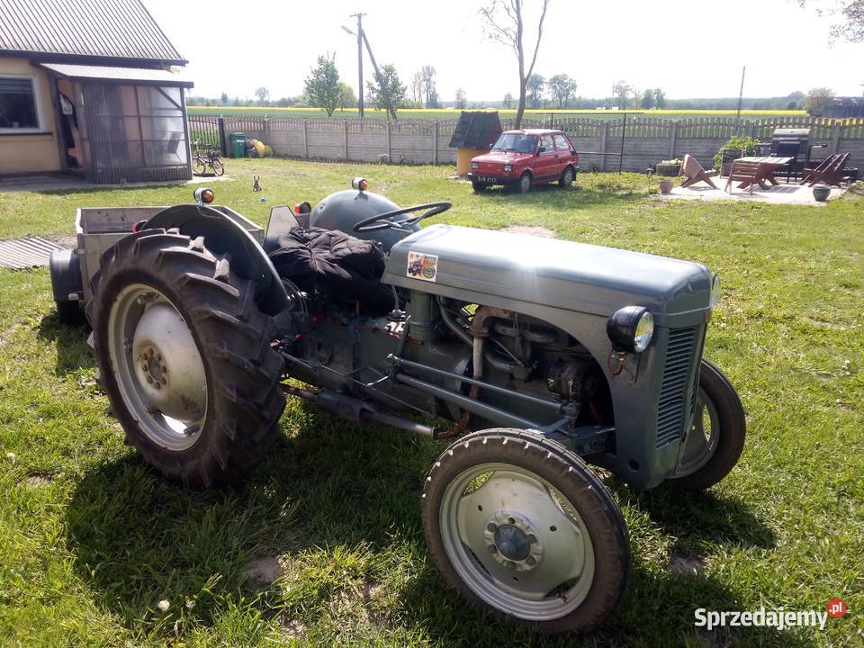 Ferguson tea 20 i wadimirec t 25 zamienię na c Poddębice