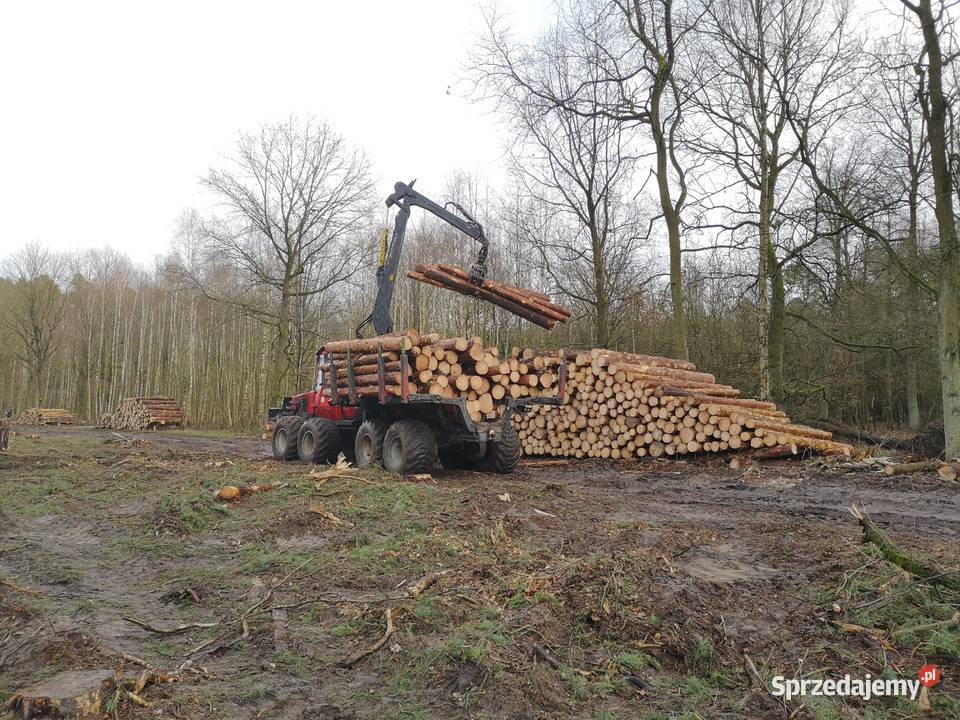 Przygotowanie terenu inwestycji Wycinka drzew Zielona Góra