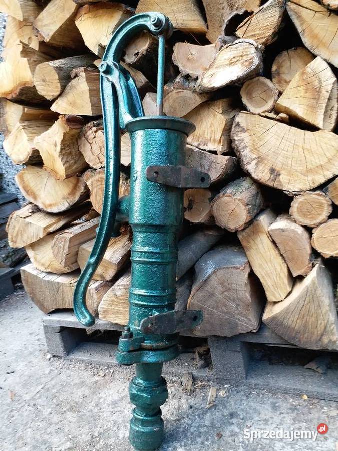 Pięknaduża pompa abisynka Architektura ogrodowa Gorzów Wielkopolski