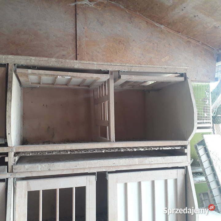 Regały z celami gniazdowymi import z Niemiec Karpacz