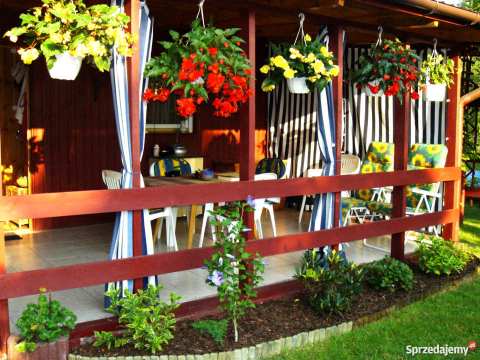 sprzedam działkę ROD Wolica Wolica