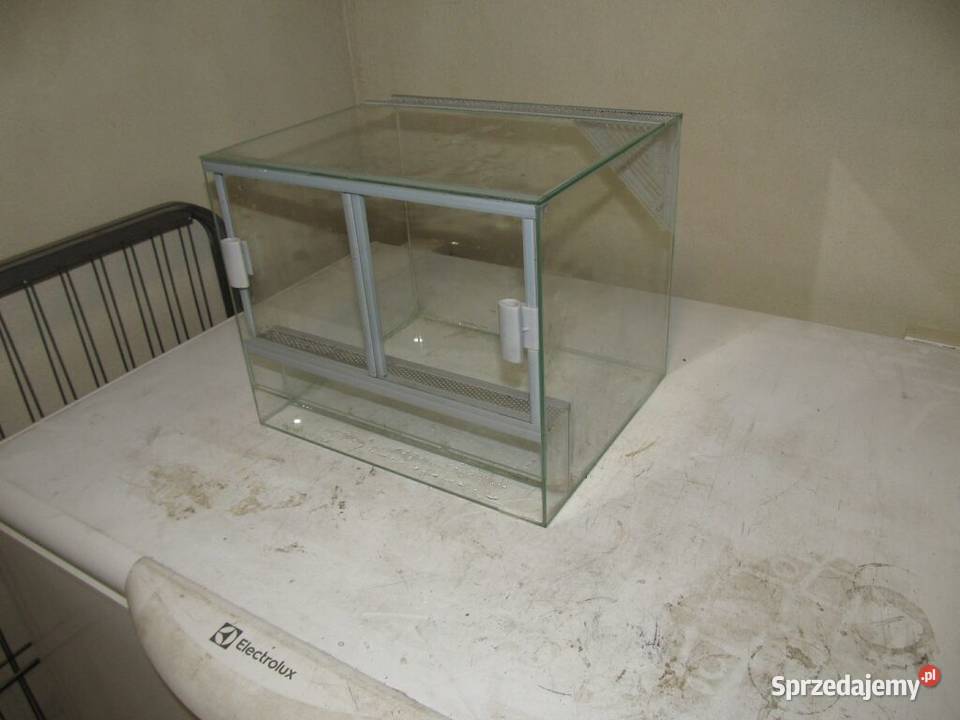 Terarium Bełchatów