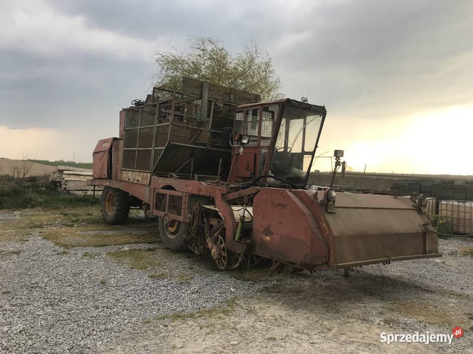 Kombajn buraczany stoll 6 rządkowy