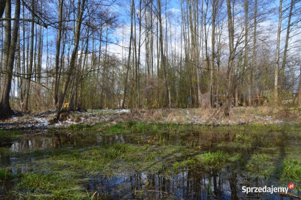Działka pod zabudowę jednorodzinną 5057 m Mariew budowlana