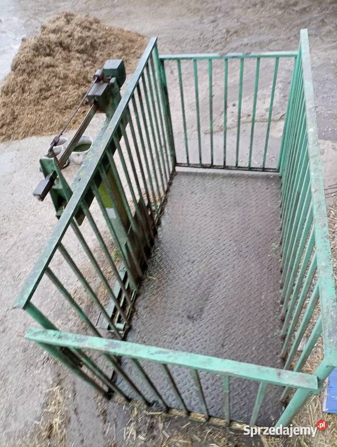 Waga do żywca bydła Nowy Korczyn