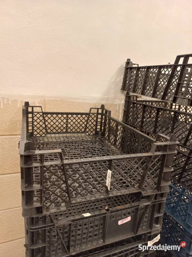 Skrzynki pieczarkach 140 sztuk