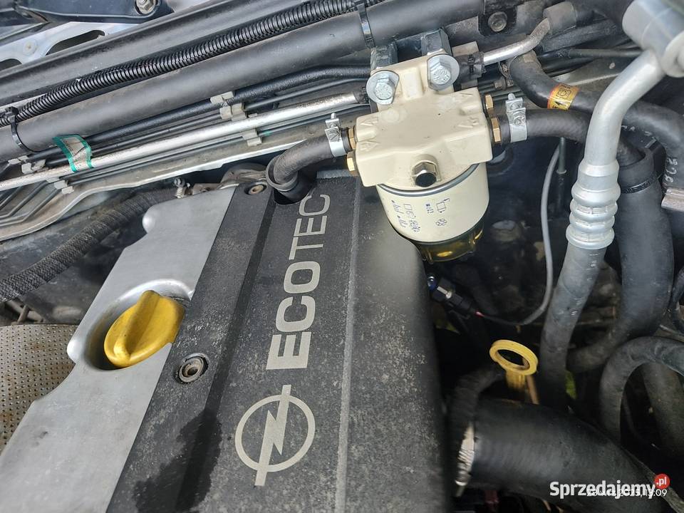 Opel Frontera b 2002r 22dti 245000km pomorskie Starogard Gdański