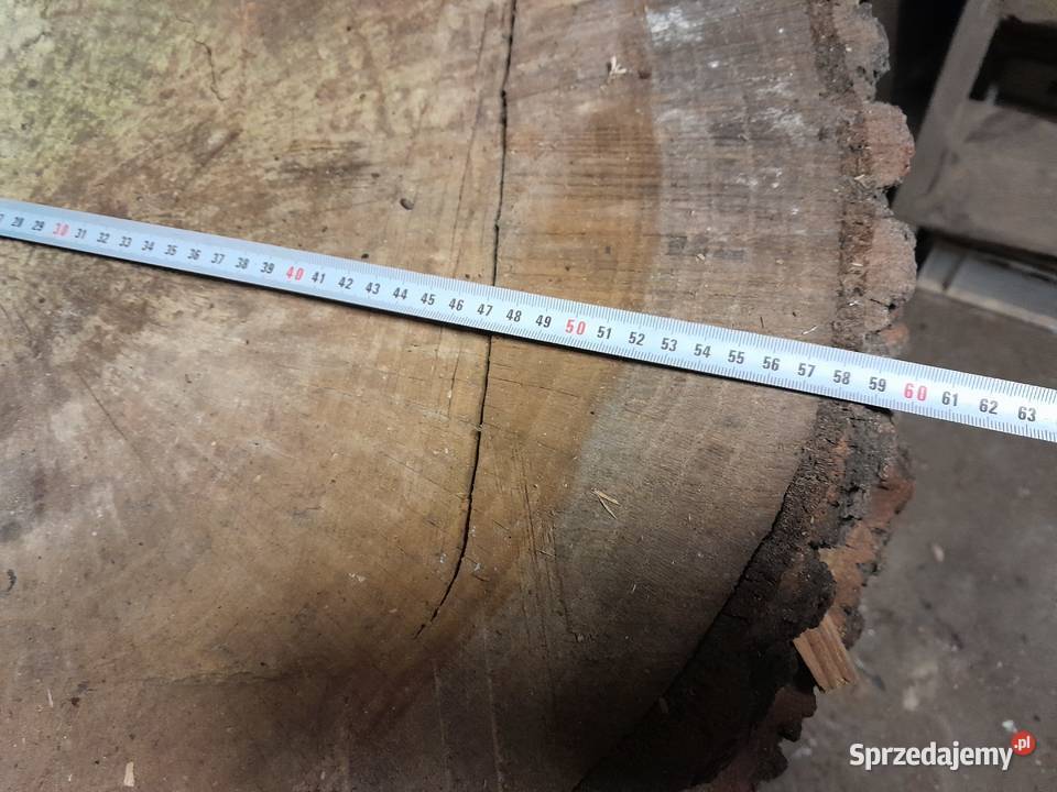 Plastry dębowe 60 różne grubości lite drewno Dąbrowa Górnicza