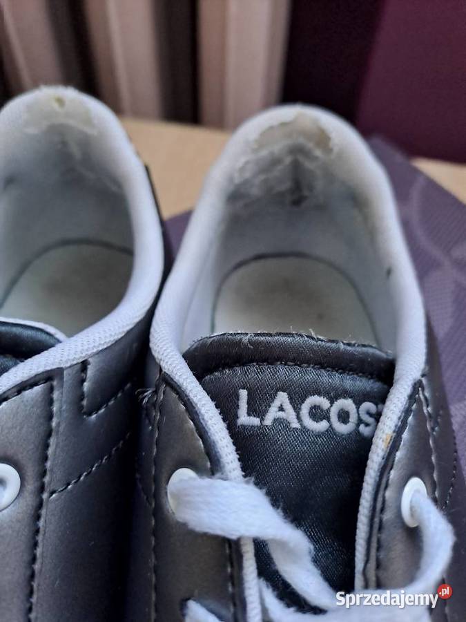 Lacoste grafitowe Wrocław sprzedam