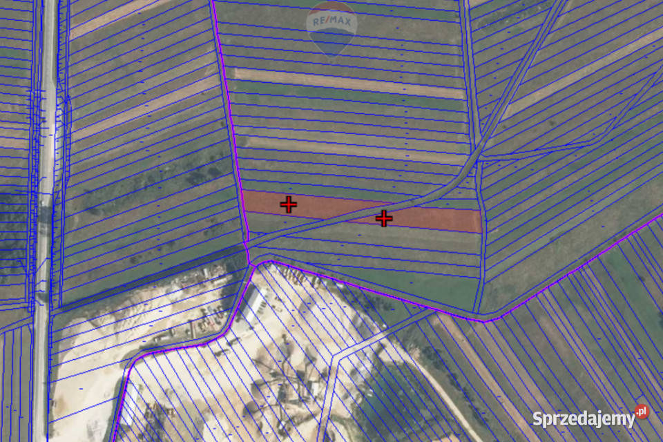 Działki rolne Dział