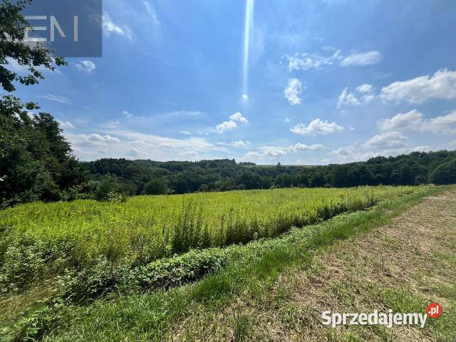 Grunt Nowa Wieś 4400m2 Sprzedaż sprzedam