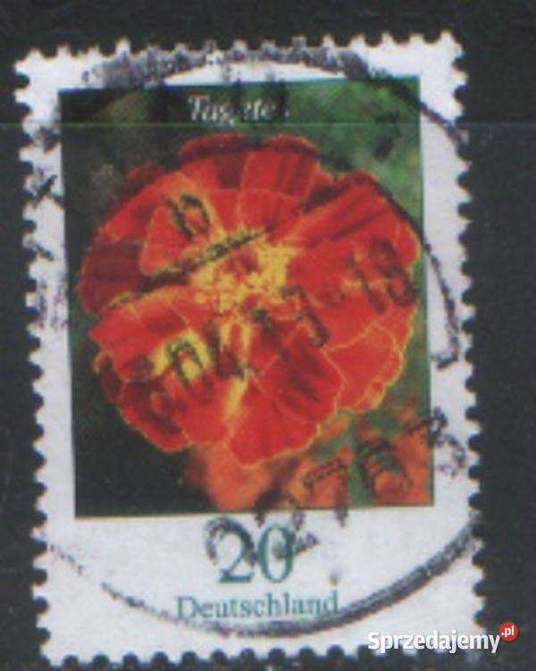 Zn RFN Mi 24374571380A48 kas 2005 Gliwice