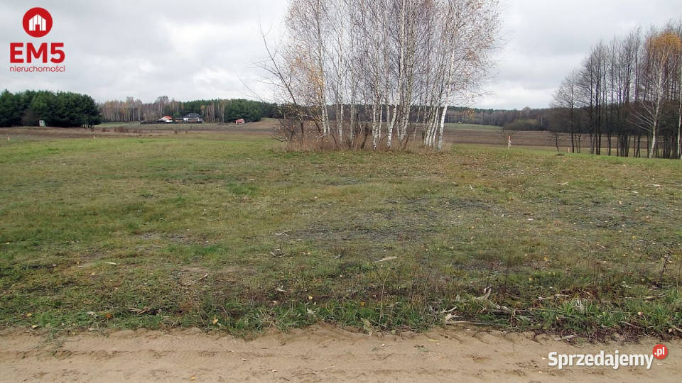 Do sprzedaży grunt 1000m2 Tołcze Sprzedaż Grunty i działki