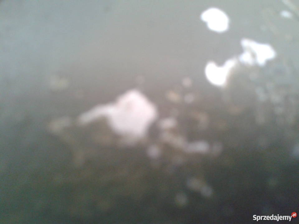 Manierka wojskowa z kubkiem 1939r Bielsko-Biała