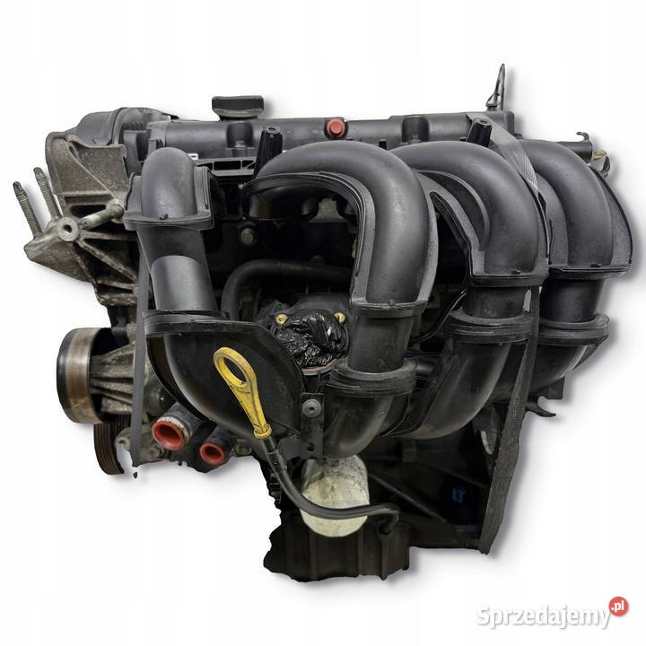 SILNIK SHDA SHDB Ford Focus II MK2 C C 16 16V lubelskie Chełm