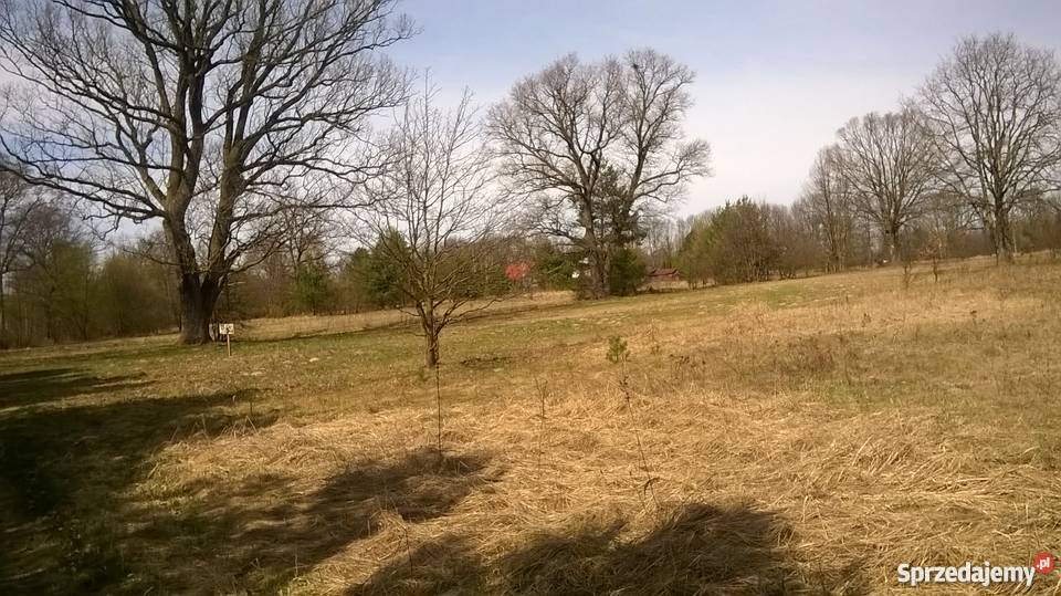 działka zalewem zegrzyńskim Arciechów 2700m2 Grunty i działki Arciechów