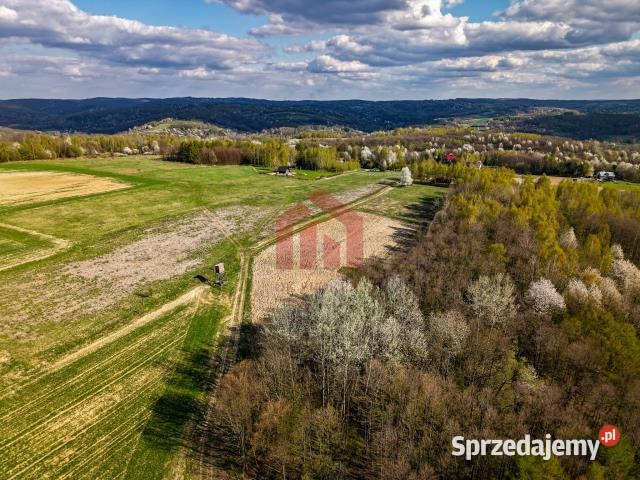 Działka 4836m2 Hadle Kańczuckie 120m podkarpackie
