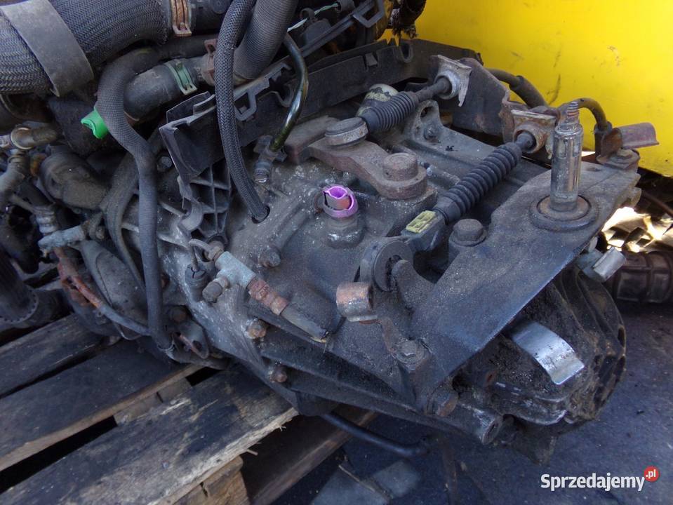 VIVARO TRAFIC PRIMASTAR 20 DCI EURO 5 13r 114 Suków sprzedam