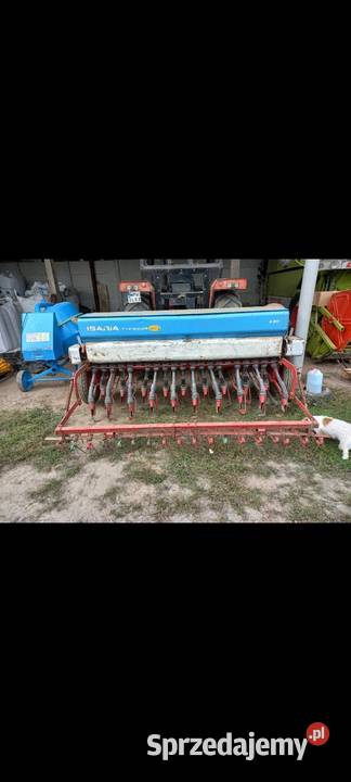 Siewnik zbożowy isaria poznaniak amazone hassia mazowieckie