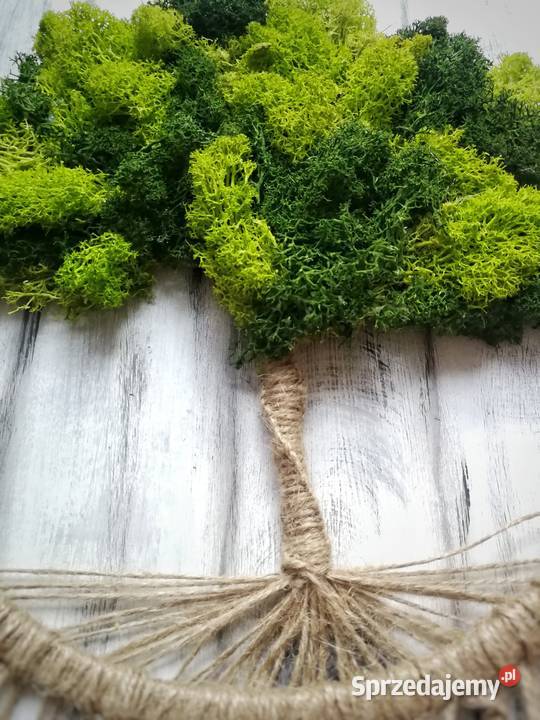 Makramowe drzewo z chrobotkiem łapacz snów śląskie Częstochowa