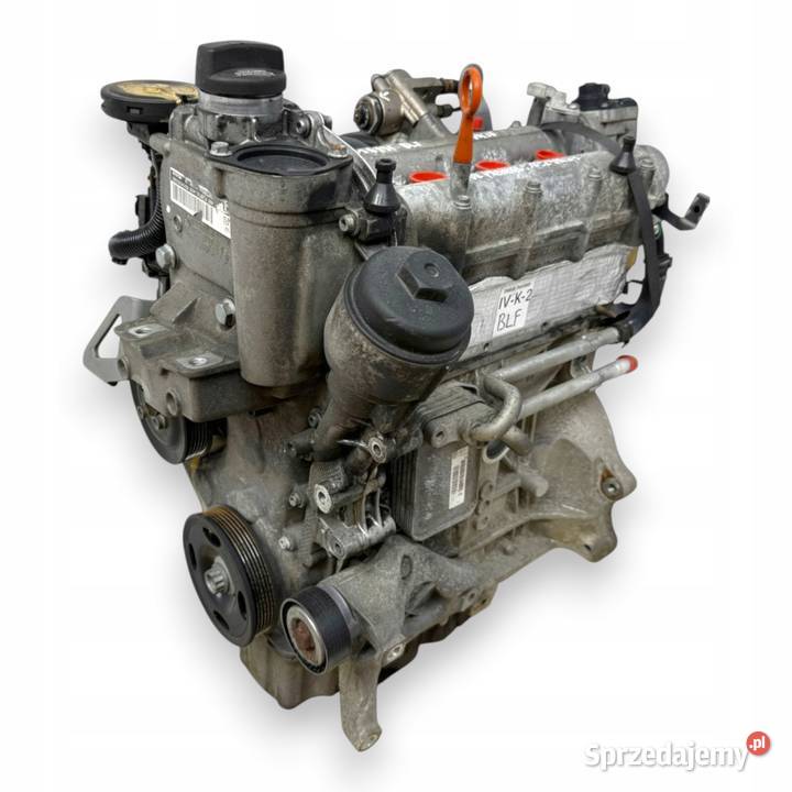SILNIK BLF Audi A3 II 8P Skoda Octavia II 16 FSI