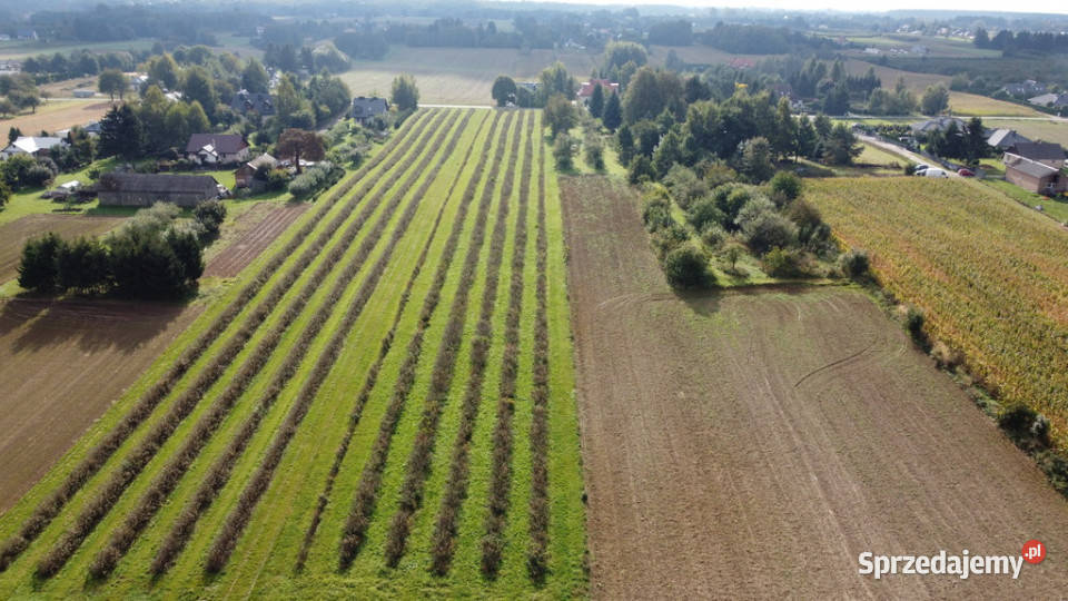 Działka Motycz 13 ar budownictwo jednorodzinne utwardzona Sprzedaż