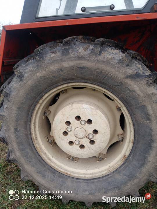 ursus Ursus Odechów