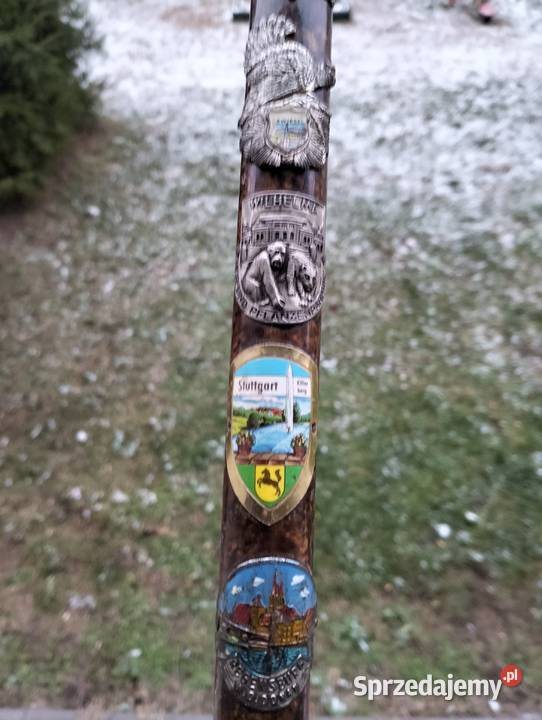 kolekcja starych lasek Ełk