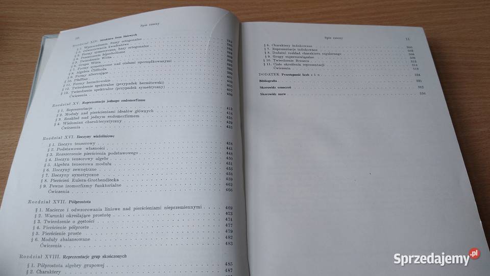 Algebra Serge Lang z angielskiego tł Ryszard sprzedam