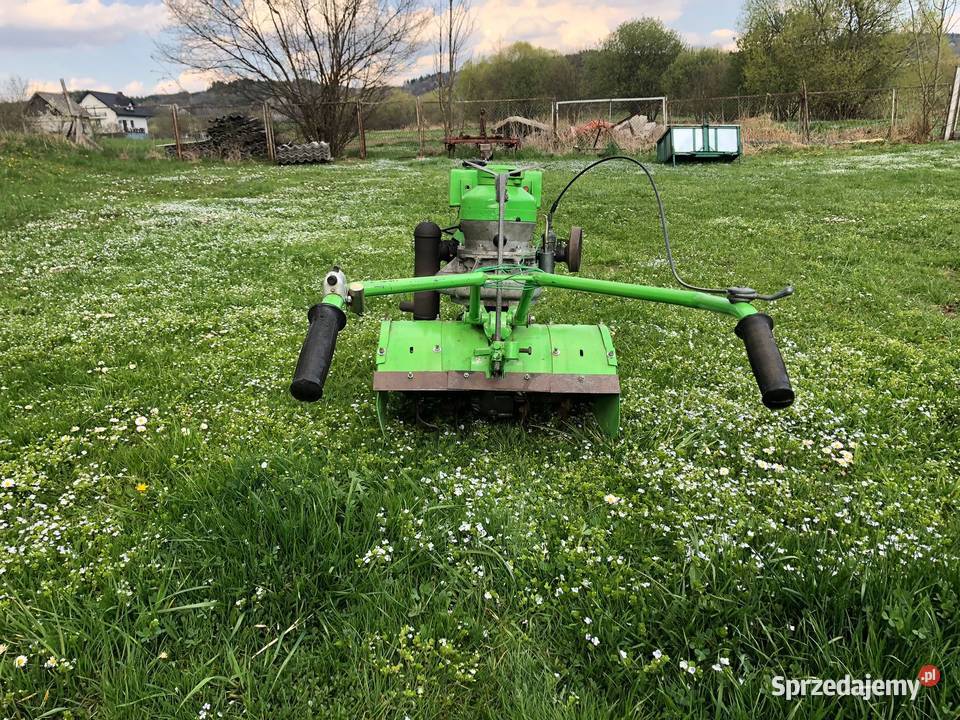 Glebogryzarka Mrowka lata sześćdziesiąte