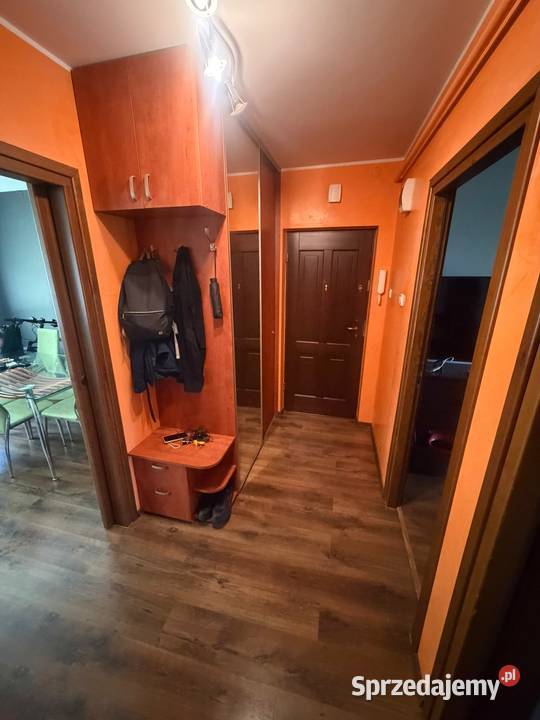 Mieszkanie do wynajęcia Liczba pokoi 2 podkarpackie