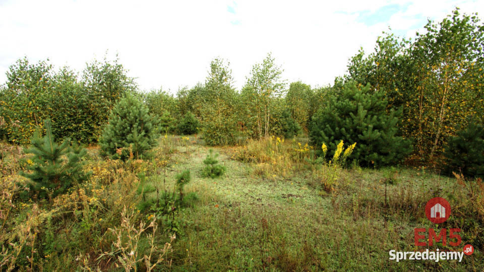 Działka 2806m2 Klimki 2806m2 podlaskie