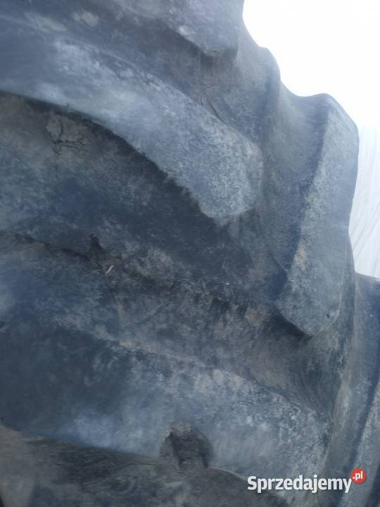 Opony 184 r38 Kcynia