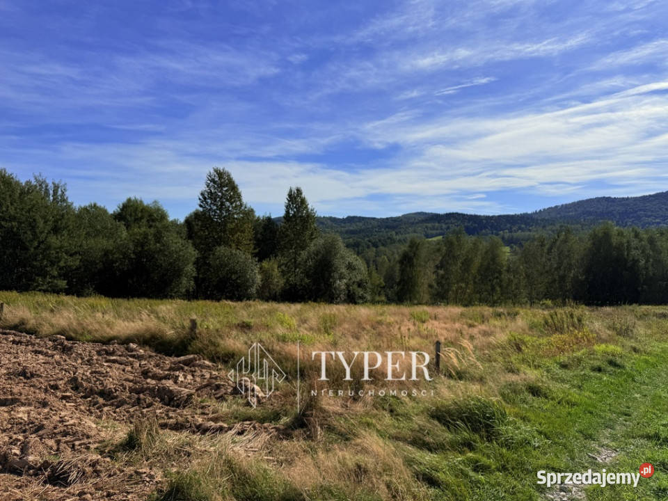 Działka Ryglice 45 arów sprzedam