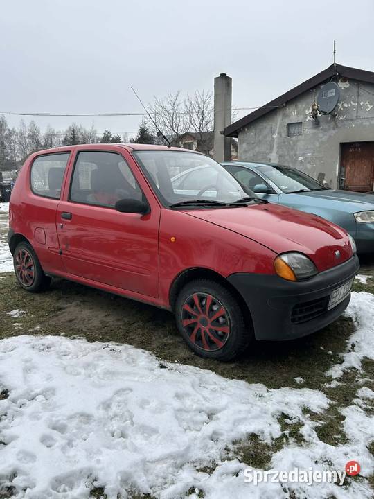 Seicento 900 Rząśnia