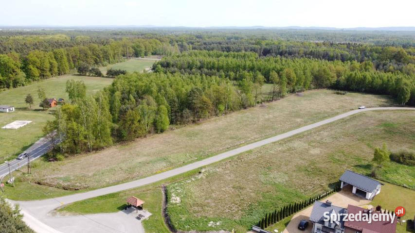 sprzedaży gruntu 17500m2 RudyRysie asfalt małopolskie Rudy-Rysie