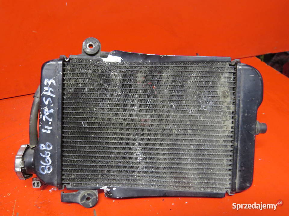 HONDA SH 300 SH300 SH300I 300I 2010 chłodnica mazowieckie