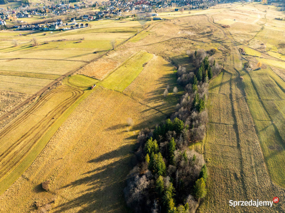 Działka rolna 29ar w Zakopanem Bachledzki Wierch Zakopane